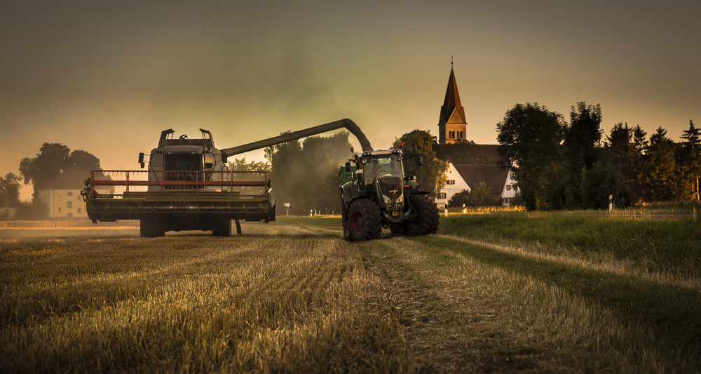 5. Platz Anton Kienle